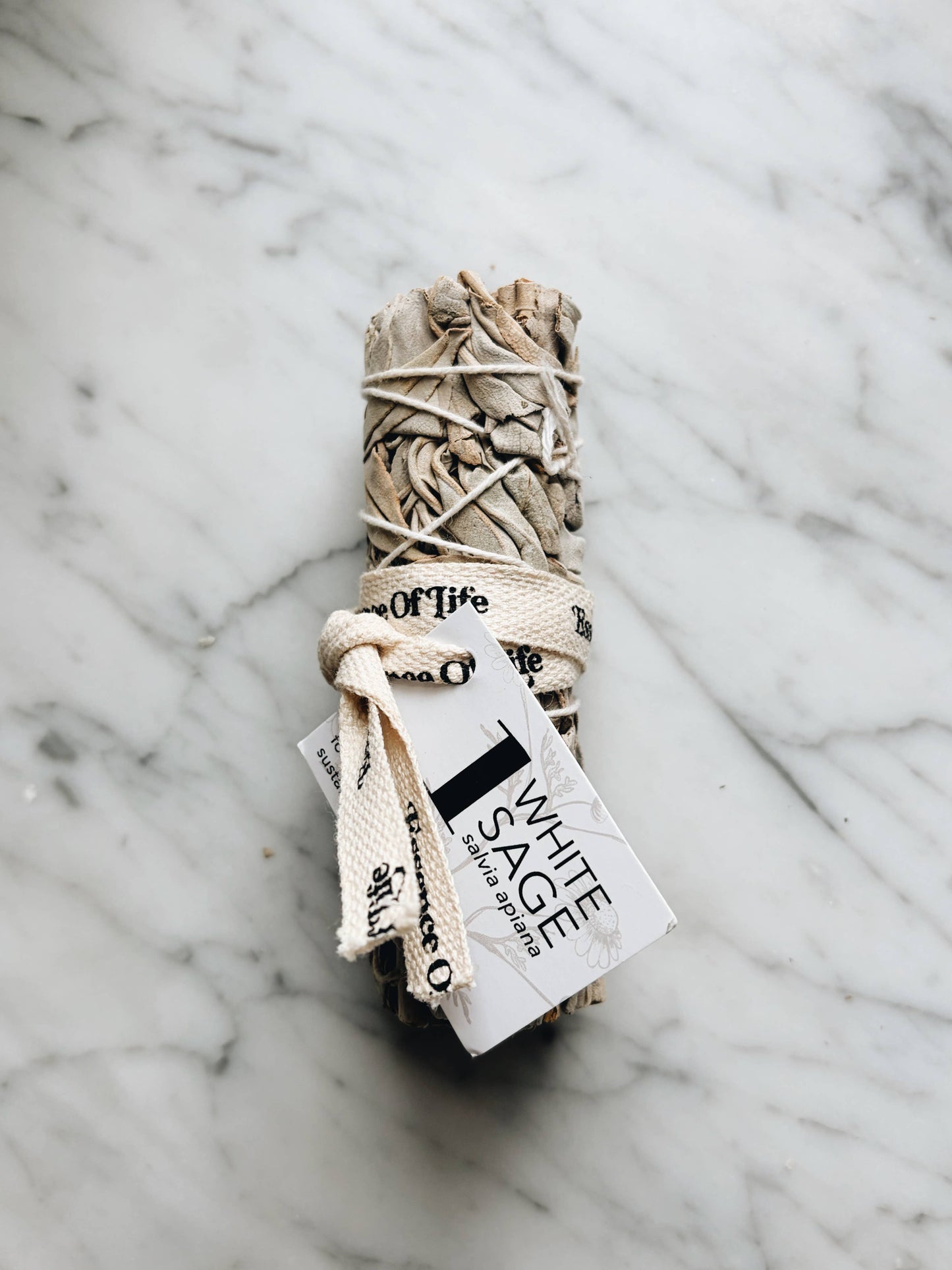 Forest-friendly White Sage bundle, 4 inch (1 bundle)