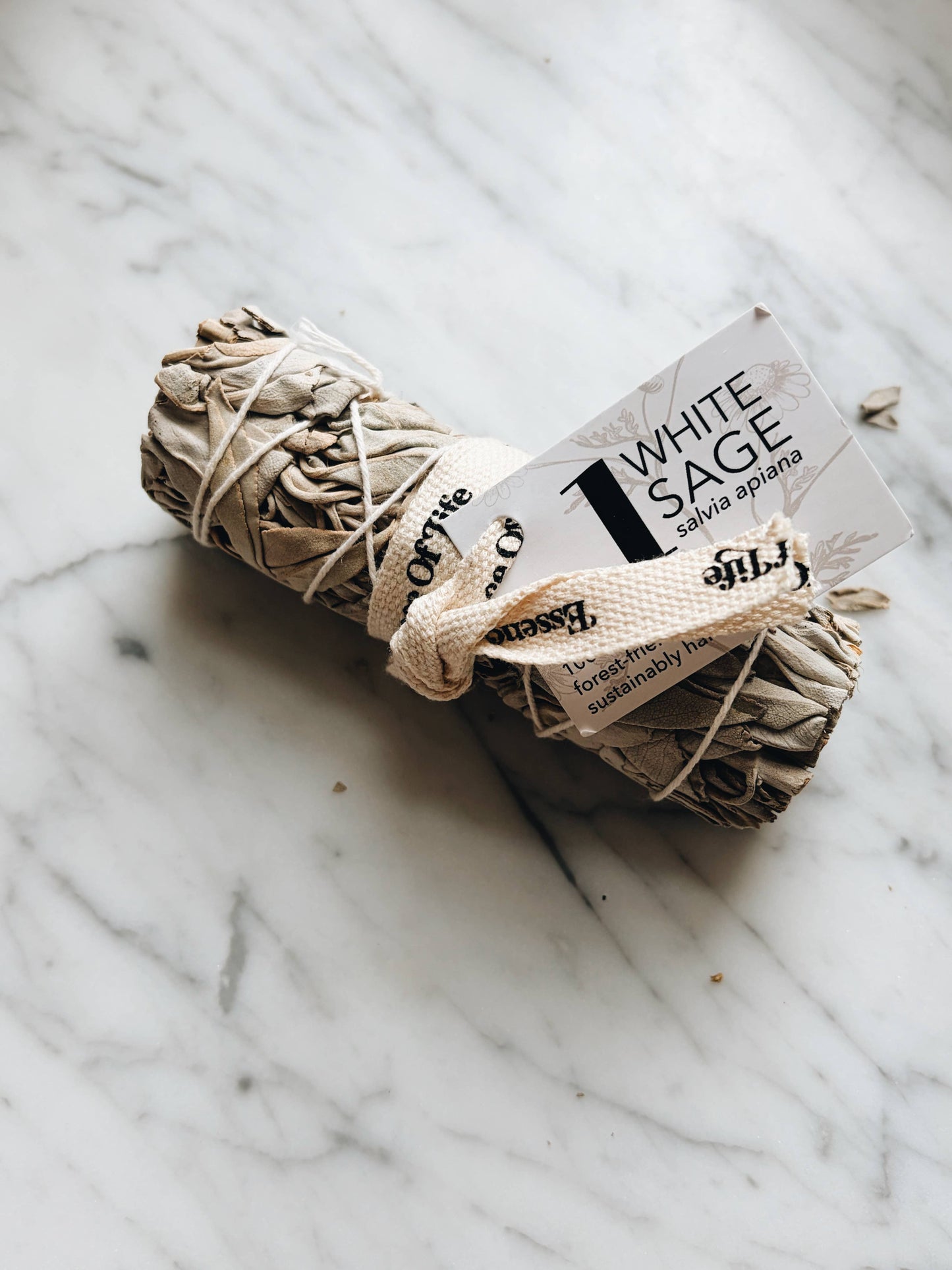 Forest-friendly White Sage bundle, 4 inch (1 bundle)