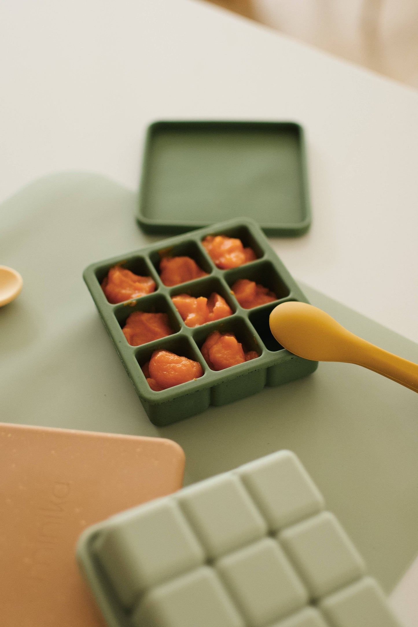 Food freezer tray