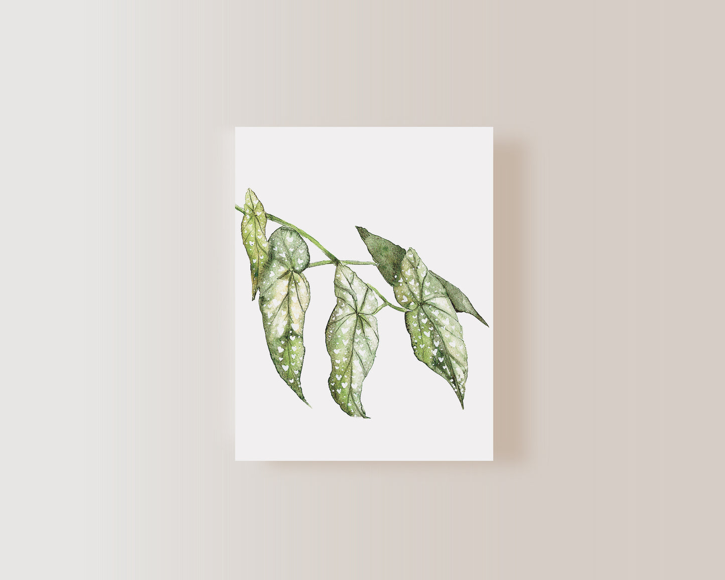 Muguette-Carte de souhait