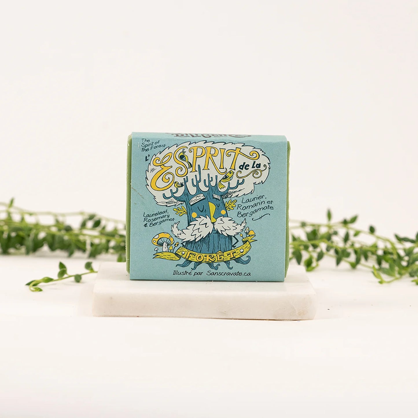 Savonnerie des Diligences soap