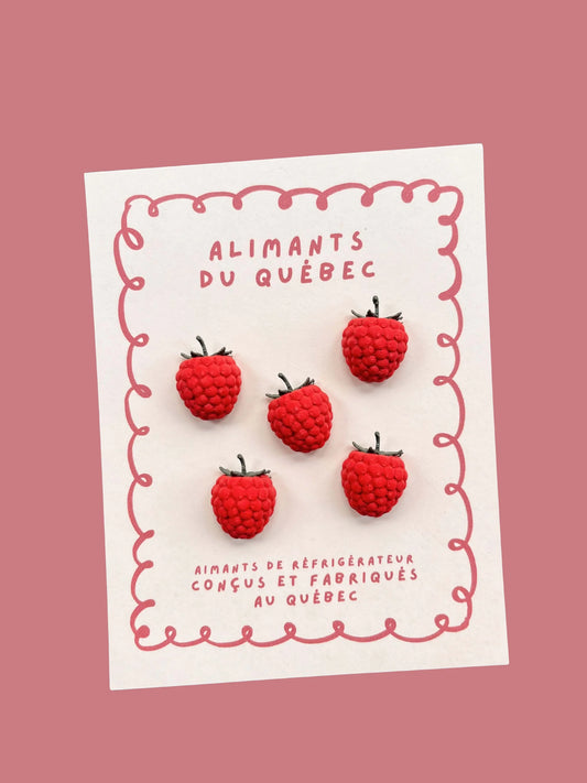 Aimants décoratifs – Framboises du Québec - Ensemble de 5