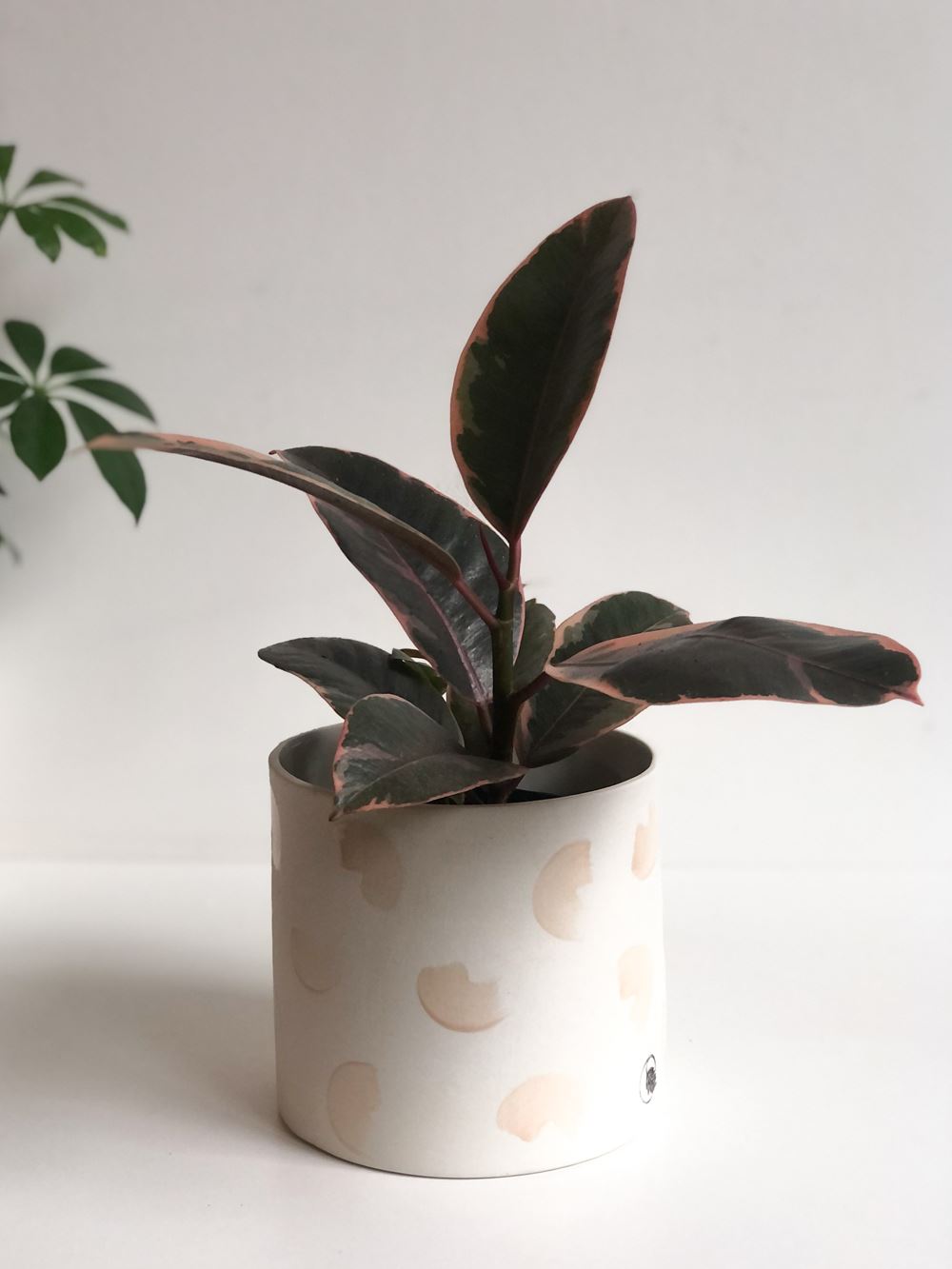 Moon wall planter