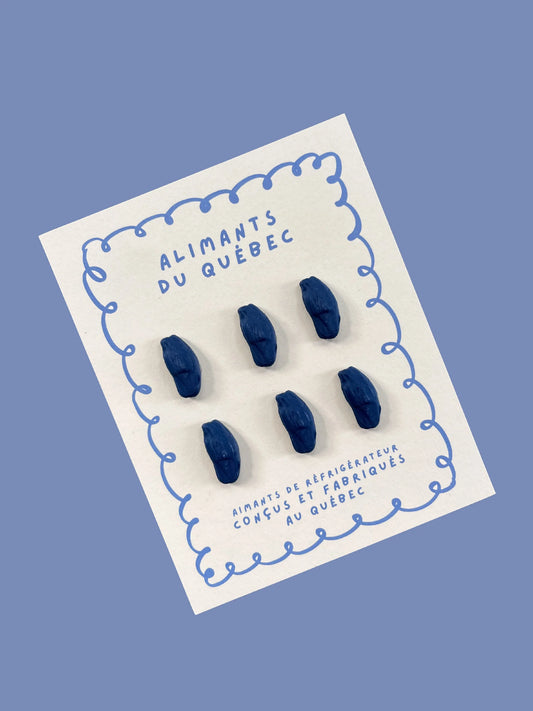 Quebec Haskap Magnets — Set of 6