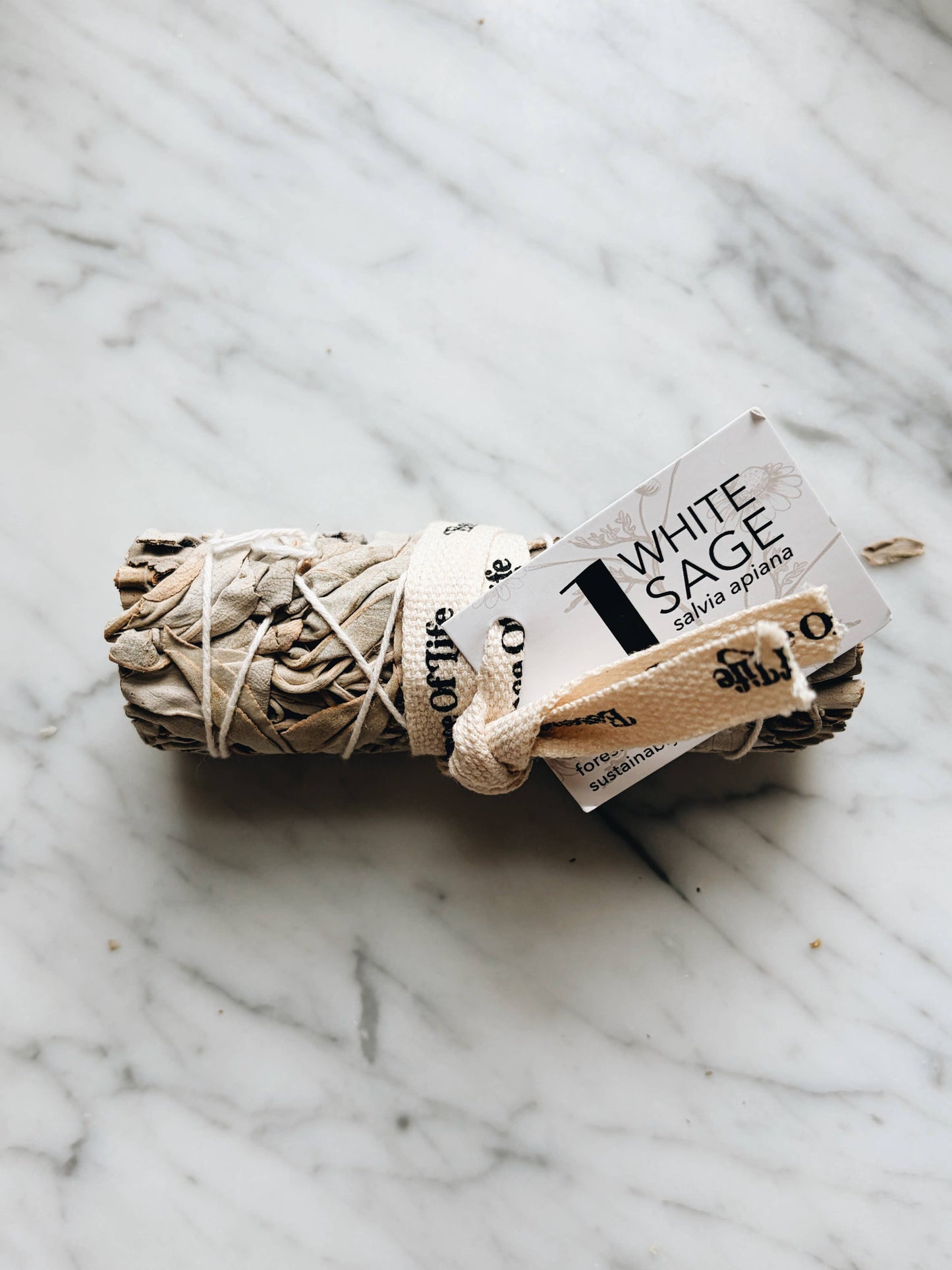 Forest-friendly White Sage bundle, 4 inch (1 bundle)