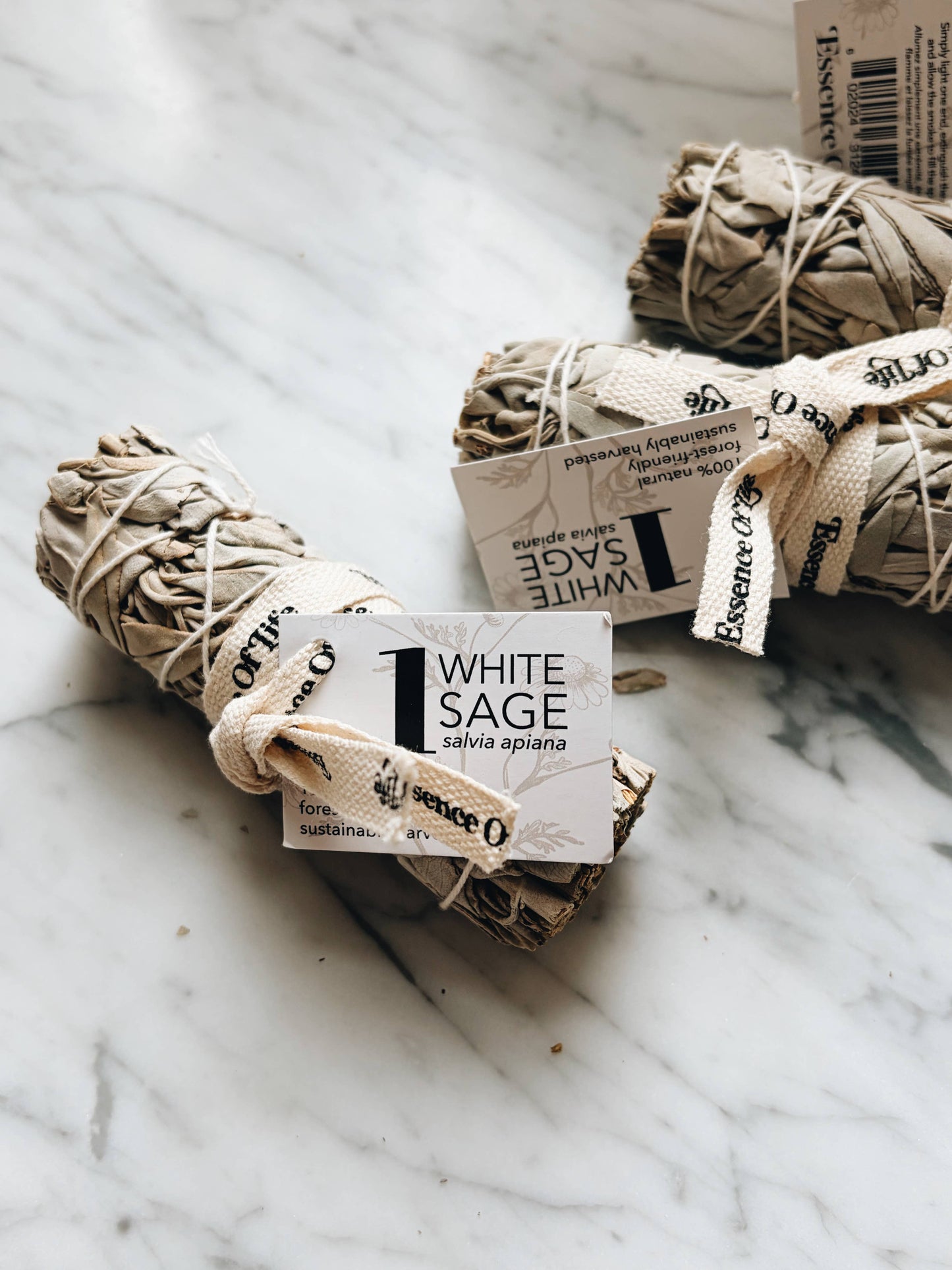 Forest-friendly White Sage bundle, 4 inch (1 bundle)