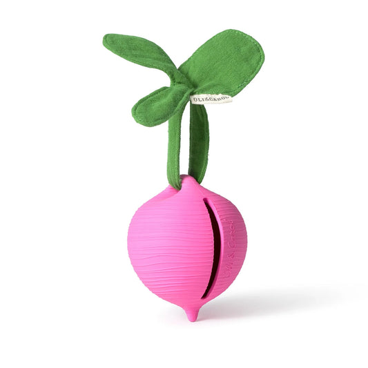 Oli & Carol Ramona the Radish Pacifier Case