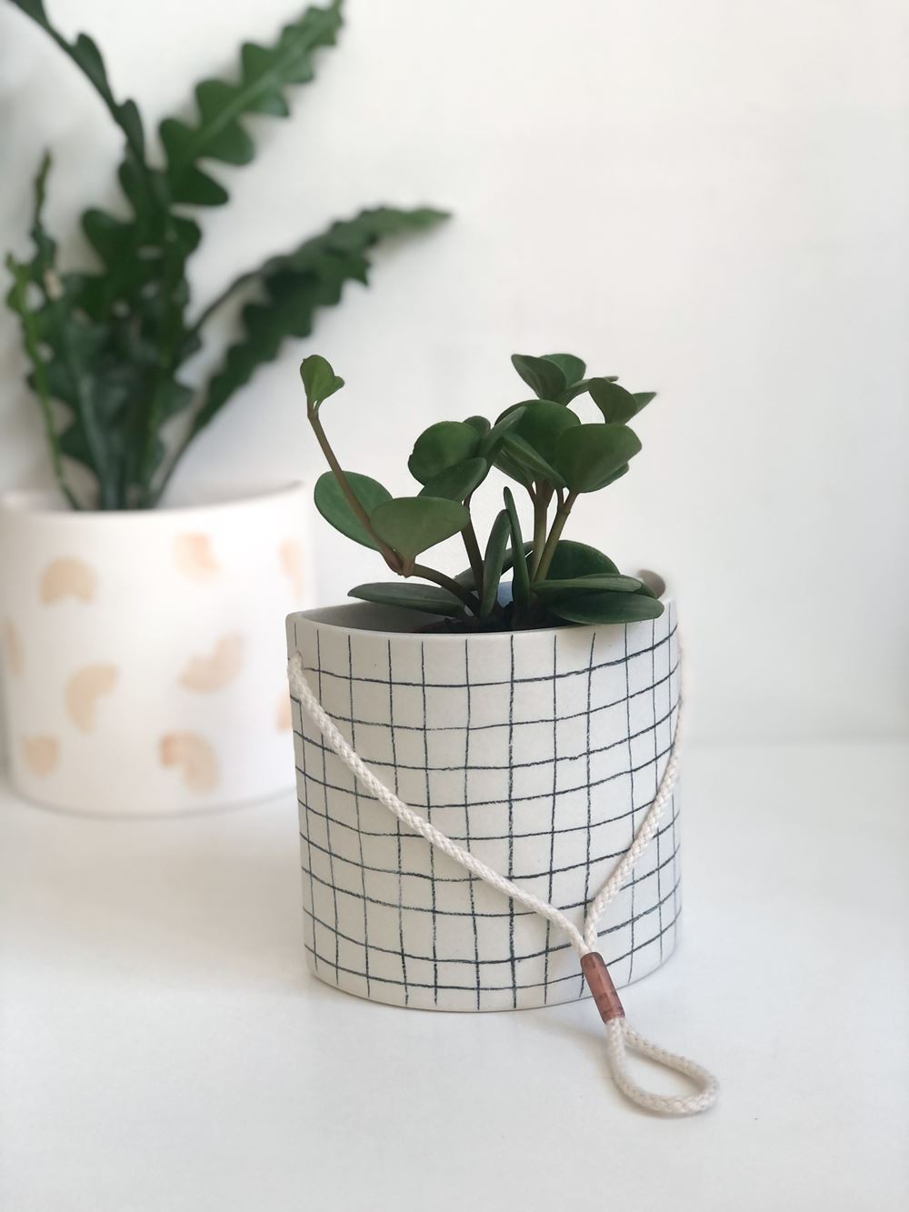 Half-moon wall planter