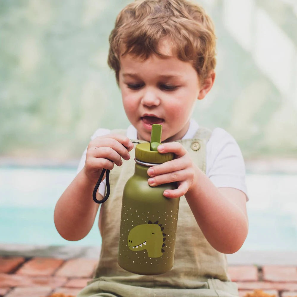 Trixie Insulated drinking bottle 350ml - Mr. Dino