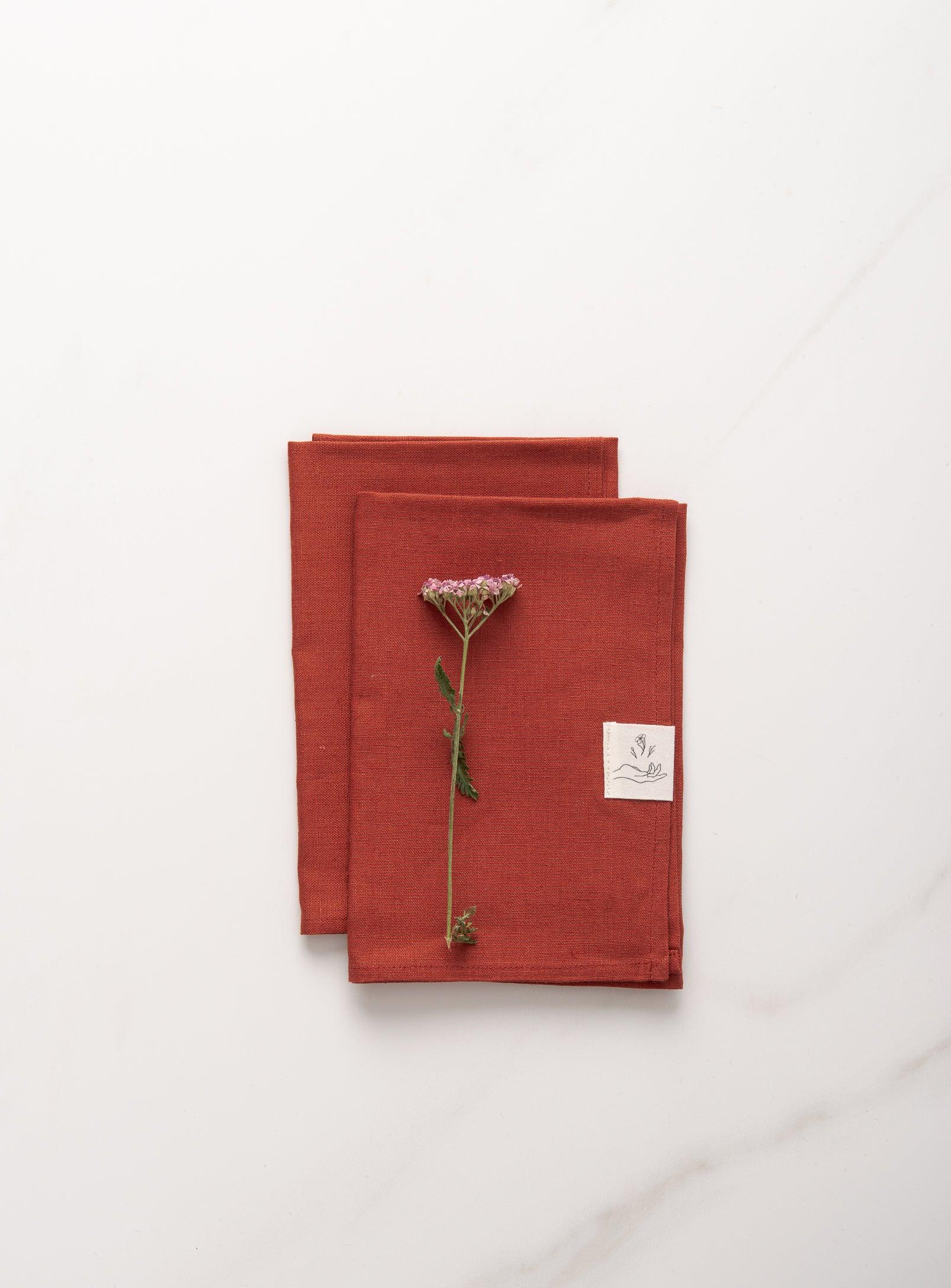 Set of 2 Linen Napkins - Terracota - Confetti Mill